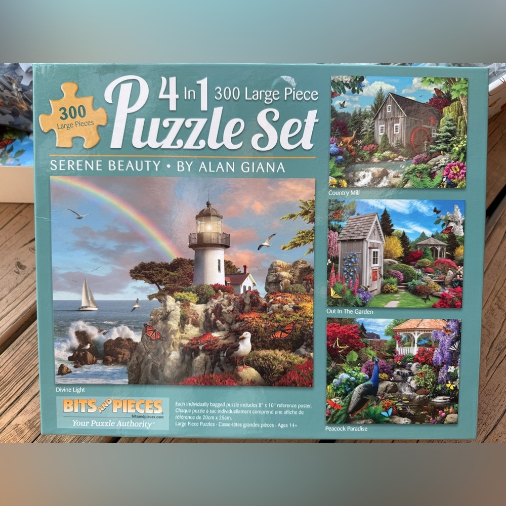 4 puzzles in one box